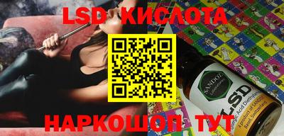 шишки Бузулук