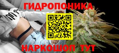 шишки Бузулук