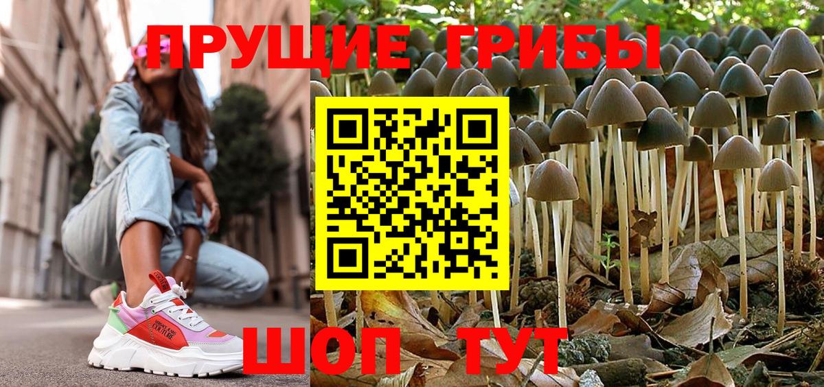 Галлюциногенные грибы MAGIC MUSHROOMS  Вход с VPN  Таганрог 
