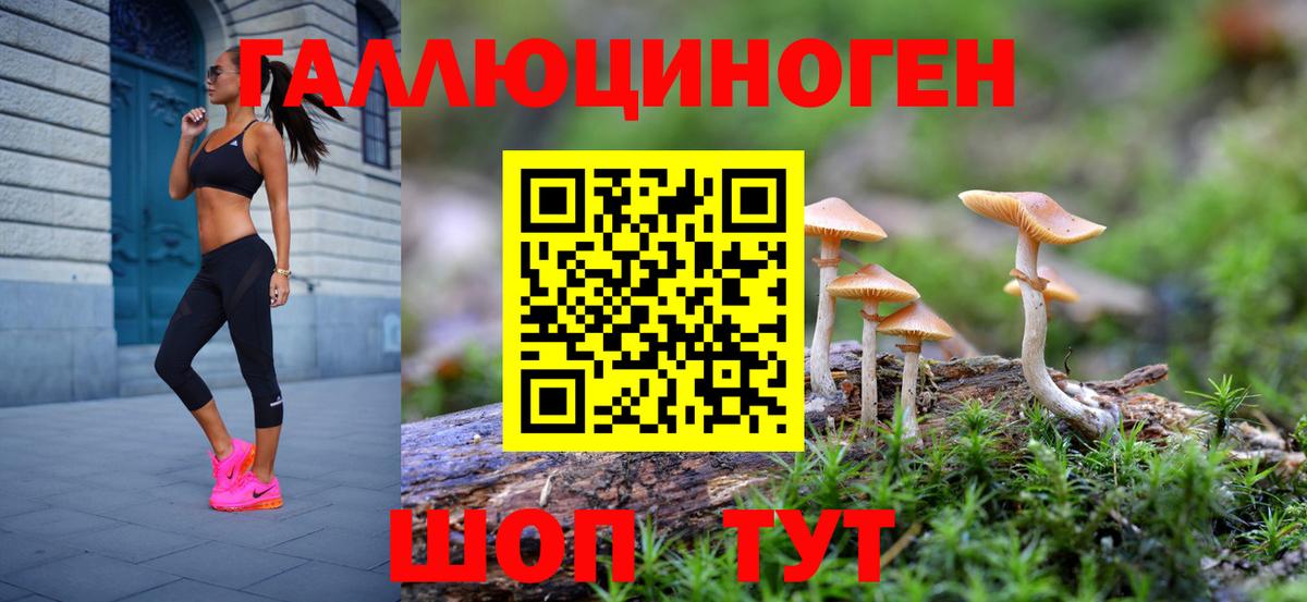 Псилоцибиновые грибы Cubensis Таганрог